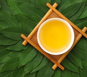 广东粤北绿茶高山茶红茶韶关特产绿茶出厂