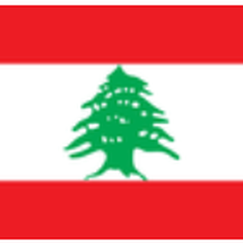 黎巴嫩VOC证书如何办理多少钱一份