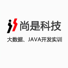 软件开发