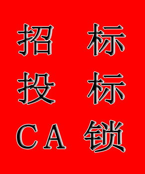 青海代办CA锁省外企业CA锁办理青海CA锁代办公司