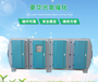 江苏徐州废气处理设备厂家专业设备安装废气处理设备UV光氧催化设备