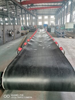 惠州矿石煤矸石皮带输送机