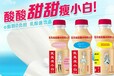 厂家直销全国招商乳酸菌饮料椰子汁