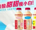 厂家直销全国招商乳酸菌饮料椰子汁