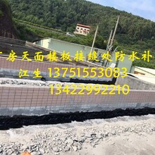 惠州卫生间补漏工程，惠州铁皮瓦防锈补漏，惠州地下室灌浆堵漏