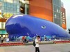巨大鲸鱼岛出租大型鲸鱼岛展览出售