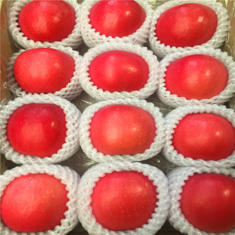 華碩蘋果苗多少錢、華碩蘋果苗出售價錢