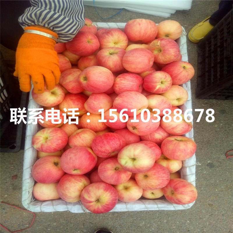1568342922086390000-0.jpg
