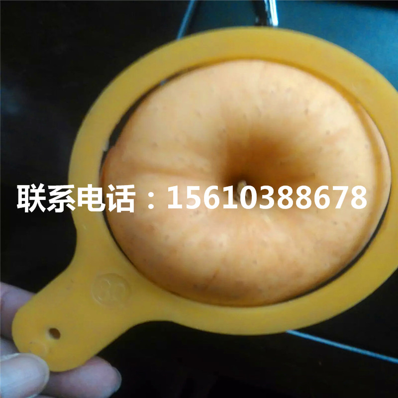 2020年水蜜桃蘋果苗新品種基地