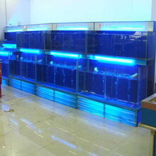 廣州海鮮魚池生產批發,廣州定海鮮魚池多少錢一米圖片