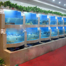 廣州最便宜的海鮮魚池,海鮮魚池公司,廣州海鮮魚池有限公司圖片