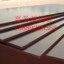 錦州北鎮市建筑模板廠家直銷清水模板直銷批發圖片