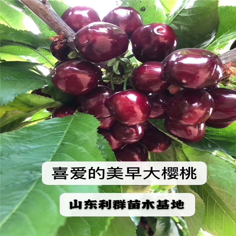車?yán)遄訕涿鐖?bào)價(jià)、車?yán)遄訕涿鐑r(jià)格