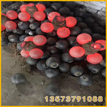 广东仁化试验室制粉钢球直径80钢锻2530图片4