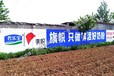 合肥墙体广告打开中国农村市场