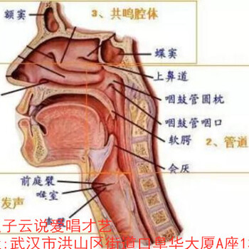 街道口唱歌培训班