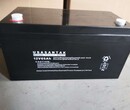 山特蓄电池12V65AH美国USASUNTEK阀控密封式铅酸免维护电池图片