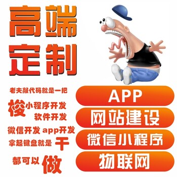 济南app开发定制作电商直播社交全行业软件网站建设单片机物联网