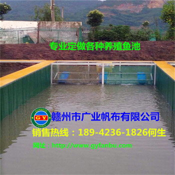 低成本工廠化養(yǎng)殖魚池新方向支架養(yǎng)殖水池帆布魚池養(yǎng)蝦