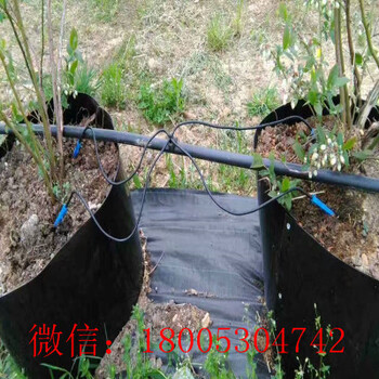 江西厂家花卉滴灌灌溉工具滴剑一出四滴箭一出二滴箭