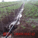 四川厂家供应农用灌溉水带微喷带滴灌带型号齐全
