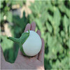綠長茄種子綠圓茄種子白罐茄種子白長茄種子