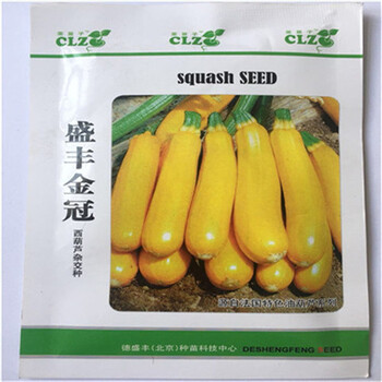 香蕉西葫蘆種子西葫蘆種子金珠西葫蘆種子黃皮西葫蘆種子