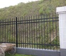 传统风格护栏旧式锌钢围墙护栏小区栏杆别墅防爬栏杆图片
