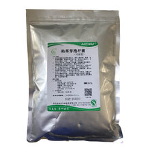 多功能通用养殖种植水产用枯草芽孢杆菌菌粉图片