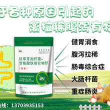 肠康;禽大肠杆菌病发病情况:鸡大肠杆菌症状图片,鸡大肠杆菌的粪便图片图片