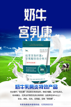 奶牛宫乳康；奶牛乳房炎预防，奶牛预防乳房炎