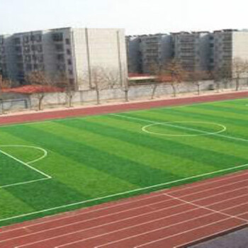 北京优世体育足球场人造草坪铺设材质环保