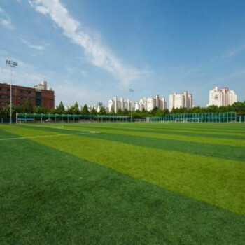 人造草足球场建设优世体育，绿色环保质量高