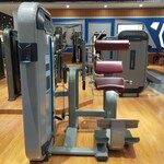 山东健身器材厂家直供新款力量健身房私教企事业单位用腰部后压运动器材