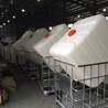 ibc噸桶100L塑料桶價(jià)格1噸塑料桶