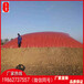 遵义300立方红泥膜材沼气袋封罩多少钱软体沼气池使用寿命