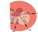 新区楼盘万象-瑞都头条泰安图片