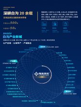 2020年沧州白沟新楼盘领秀城开发商图片