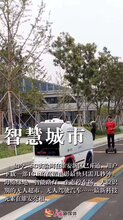 雄安二环京雄世贸港投资意义济南图片