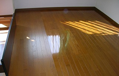 福田健身馆地板打蜡服务至上,PVC地板打蜡图片0