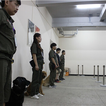 浙江训犬基地_浙江训狗学校_找训犬上训犬帮