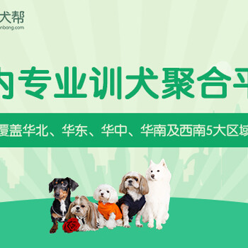 上海训犬基地排行-训犬要多少钱-派多格寄训中心