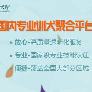 上海狗狗训练-的宠物训练学校-派多格寄训中心