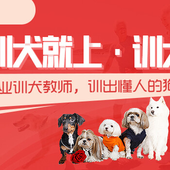 湖南狗狗训练费用训犬学校-训犬帮