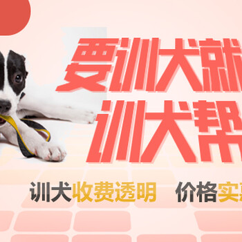 上海训犬学校-宠物训练费用-派多格寄训中心