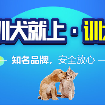 黑龙江宠物培训学校-训犬帮