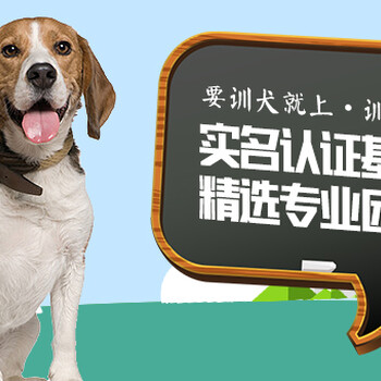 上海狗狗训练学校-训犬学校-派多格寄训中心