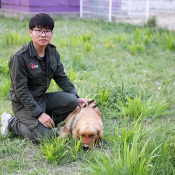 黑龙江狗狗训练哪家好-哈尔滨狗狗训练哪家好-派多格寄训中心