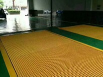 溫室大棚用苗床網，焊接網，密紋網，防銹處理，堅固圖片5