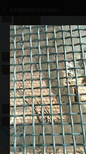 溫室大棚用苗床網，焊接網，密紋網，防銹處理，堅固圖片2